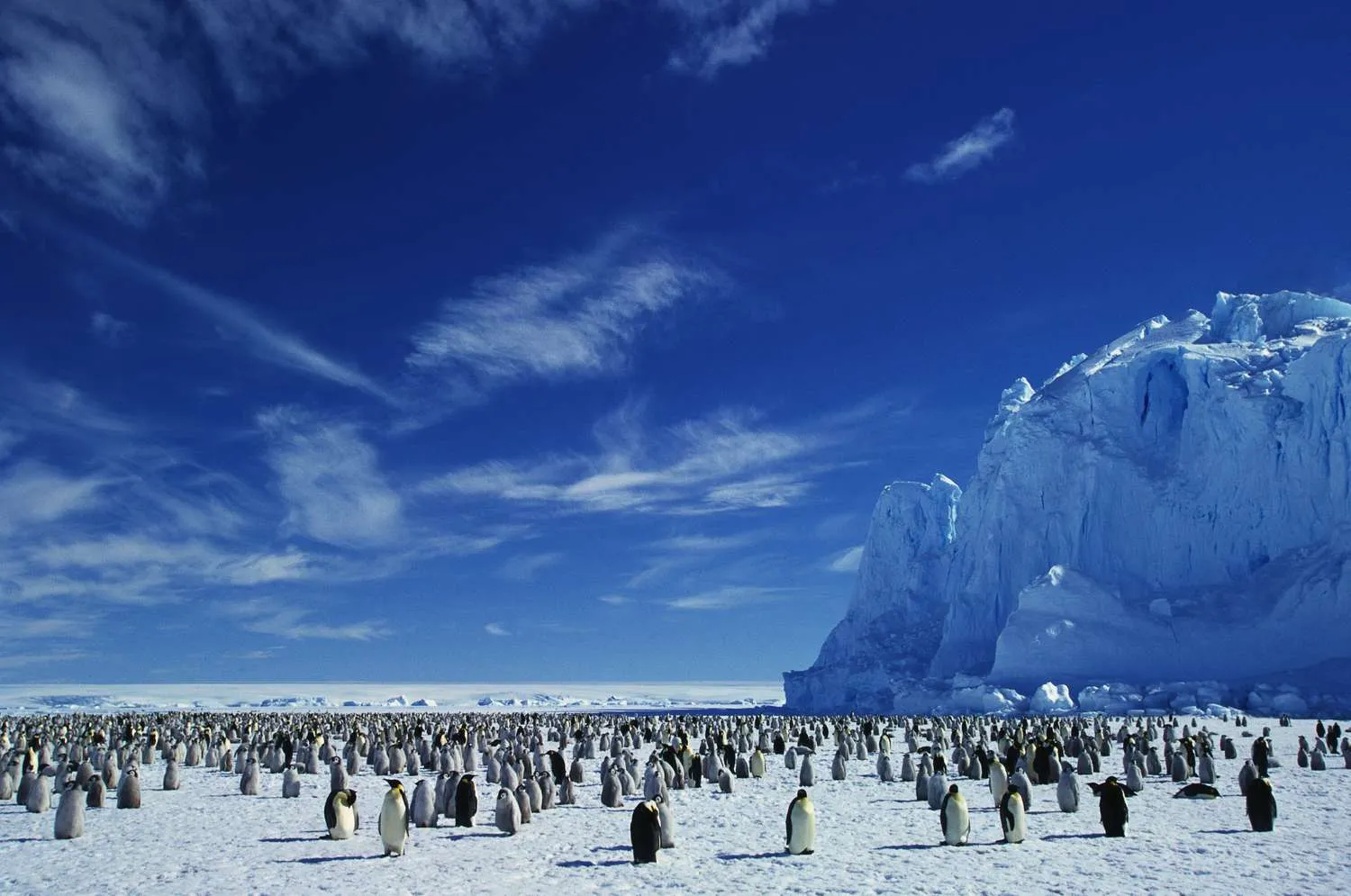 5 สุดยอดที่เที่ยวและกิจกรรมในแอนตาร์กติกา ขั้วโลกใต้ Antarctica South Pole